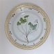 Royal Copenhagen, Flora Danica. Frokost tallerken. Design #3550. Diameter 22 cm. 
(1 sortering). Oxalis acetosella