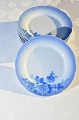 Christineholm 
porcelain 
service, Julia 
decorated with 
romantic blue 
roses on white 
porcelain ...