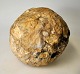 Stone fossil in 
the form of a 
ball.