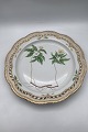 Royal 
Copenhagen 
Flora Danica 
Stor Rundt 
Gennembrudt Fad 
No 20/3528. 
Latinsk navn: 
"Anemone ...