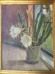Rud. Jacobsen 
(1894-1955):
Opstilling med 
kaktus (Nattens 
Dronning) i 
vindueskarm 
1928.
Olie ...