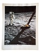 Originalt NASA 
farveoffsetfotografi 
fra Apollo 
11-
månemissionen 
af astronaut 
Edwin Aldrin, 
der ...