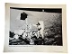 Originalt NASA farveoffsetfotografi fra Apollo 12 månelandingen i november 1969. Astronaut ...