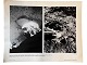 Originalt NASA farveoffsetfotografi fra Apollo 12 månelandingen i november 1969. Til venstre på ...