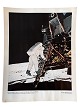 Originalt NASA farveoffsetfotografi fra Apollo 11-månemissionen af astronaut Edwin Aldrin, der ...