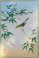 Ashikaga, Shizud (1917-1991) Japan: En fugl siddende på en blomstrende gren. træsnit på papir. ...