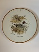 Jagtstellet  
Mads Stage 
Smørebrik / 
Platte, (Anas 
Acuta) Spidsand
Diameter  16 
cm.
Pæn ...