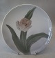 75-1120 Kgl. 
Art Nouveau 
Platte med 
tulipan  ca 20 
cm #26
 fra  Royal 
Copenhagen I 
hel og fin ...