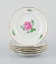 Meissen, a set 
of six "Pink 
Rose" porcelain 
plates ...
