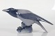 Royal 
Copenhagen 
figurer
Krage m/frø 
mellem klørerne 
nr. 365 
efter model af 
Chr. Thomsen i 
...