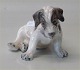 Dahl Jensen 1008 Ruhåret foxterrier hvalp (DJ) 12 cm