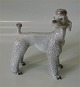 Lyngby 86 Hund: 
Puddel 15 x 13 
cm Københavns 
Porcelains 
Maleri I fin og 
Hel stand
 Design A. ...