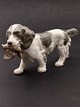 Bing & 
Grøndahl. 
Cocker Spaniel 
med bytte model 
2061. (1 
sortering). 
Emne nr. 542704