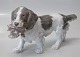 Bing & Grøndahl 
hund 2061 
Spaniel med 
fugl 25  cm 
Lauritz Jensen 
arbejde både 
for Royal ...