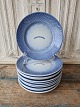 item no:
545203 item no:
545203