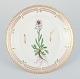 Royal Copenhagen Flora Danica plate. Hand-painted. 24-carat gold leaf.