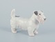 Bing & Grøndahl, lille porcelænsfigur af sealyham terrier.Model 2071.Ca. 1930’erne.Anden ...