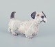 Dahl Jensen, 
porcelænsfigur 
af sealyham 
terrier.
Modelnummer 
1002.
Design Jens 
Peter Dahl ...