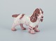 Bing & 
Grøndahl, 
porcelænsfigur 
af cocker 
spaniel.
Model 2172.
Ca. 1930’erne.
Første ...