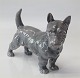 Bing & Grøndahl 
figur B&G 2117 
Skotte hund 
13.5 cm 2. 
sortering i fin 
og hel stand
Scotte ...