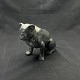 Højde 12 cm.Længde 15 cm.Enormt detaljeret figur af bulldog i sortmalet terracota.Dette ...