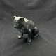 Højde 12 cm.
Længde 15 cm.
Enormt 
detaljeret 
figur af 
bulldog i 
sortmalet 
terracota.
Dette ...