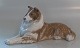 Kgl. figur hund 
fra Royal 
Copenhagen 1701 
RC Collie Peter 
Herold 13 cm I 
hel og fin 
stand
