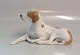 Kgl. figur fra 
Royal 
Copenhagen 
Orange Liggende 
 Pointer 1635 
13 x 24 cm  I 
hel og fin 
stand En ...