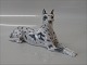 Kgl. figur fra 
Royal 
Copenhagen 1679 
RC Great Dane 
Harlequin 11.5 
x 21 cm Peter 
Herold 1914  2. 
...