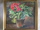 Knud J. 
Clemmensen 
(1870-1953):
Rød pelargonie 
i teracotta 
potte - 1933.
Olie på ...