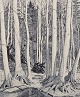 click to zoom