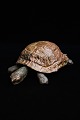 Dekorativ , 
gammel 
skildpadde i 
bemalet 
papmaché med 
fin patina.
H: 8cm. L: 
25cm. B: 14cm.