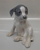 Kgl. figur fra 
Royal 
Copenhagen hund 
0259 
Pointerhvalpe 
Design Erik 
Nielsen 1900 20 
cm. (051) I ...