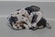 Dahl Jensen hund 1235 Sovende pointer 18,5 cm