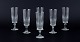 item no:
561221 item no:
561221