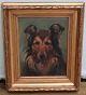 Hundemaleri: Border Collie Signeret BOB Simon Simonsen 1910  26 Olie på lærred 
49 x 41 cm