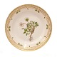 Flora Danica 
frokosttallerken 
3550
Royal 
Copenhagen 
frokosttallerken 
3550
"Dryas 
octopetala ...