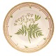 Flora Danica 
middagstallerken 
3549
Royal 
Copenhagen 
Flora Danica 
middagstallerken 
...