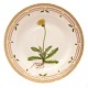 Flora Danica 
middagstallerken 
3549
Royal 
Copenhagen 
Flora Danica 
middagstallerken 
...