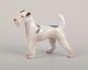 Bing & 
Grøndahl, 
porcelænsfigur 
af ruhåret 
terrier.