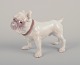 Bing & 
Grøndahl, 
porcelænsfigur 
af Bulldog.
Model 1676.
Ca. 1930.
Første 
sortering.
Perfekt ...