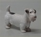 Bing & Grøndahl 
B&G 2071 
Sealyham 
Terrier 6,5 x 
10,5 cm Hund. I 
fin og hel 
stand. 
