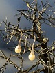 Silver earrings 
with white 
pearl
Stamped 925 p
Height 3 cm
Nice and well 
maintained
&#8203;
