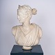 Diana bust, goddess of wild animals and the hunt