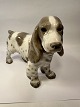 B&G Cocker 
spaniel 
porcelæn 
figurer , 
nummer 2095 
Flot og pæn 
stand