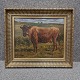 Maleri på plade 
med motiv af en 
Jersey ko. 
Dateret 1877
Restaurering 
udført af 
kunstner Hugo 
...