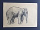 Torkil Norél 
(1922-2009):
Elefant.
Kul/bly på 
papir.
Sign.: 
usigneret
Uden ramme
21x30
5924