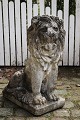 Stor , 
dekorativ 
gammel løve i 
sandsten med 
fin patina af 
vind & vejr.
H: 66cm. D: 
50cm. B: ...