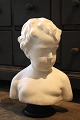 Dekorativ ældre 
buste af dreng 
i gips med fin 
patina.
Busten er i 
fin stand. H: 
38cm. B: 30cm.