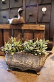 Gammel fransk 
blomster 
jardiniere i 
jern med fin 
patina.
H: 18cm. L: 
45cm. B: 18cm.
Dekorativ ...